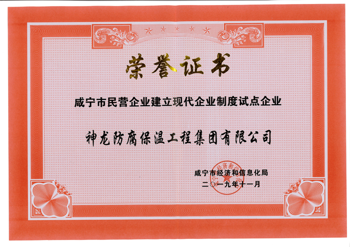 現(xiàn)代企業(yè)制度試點企業(yè)